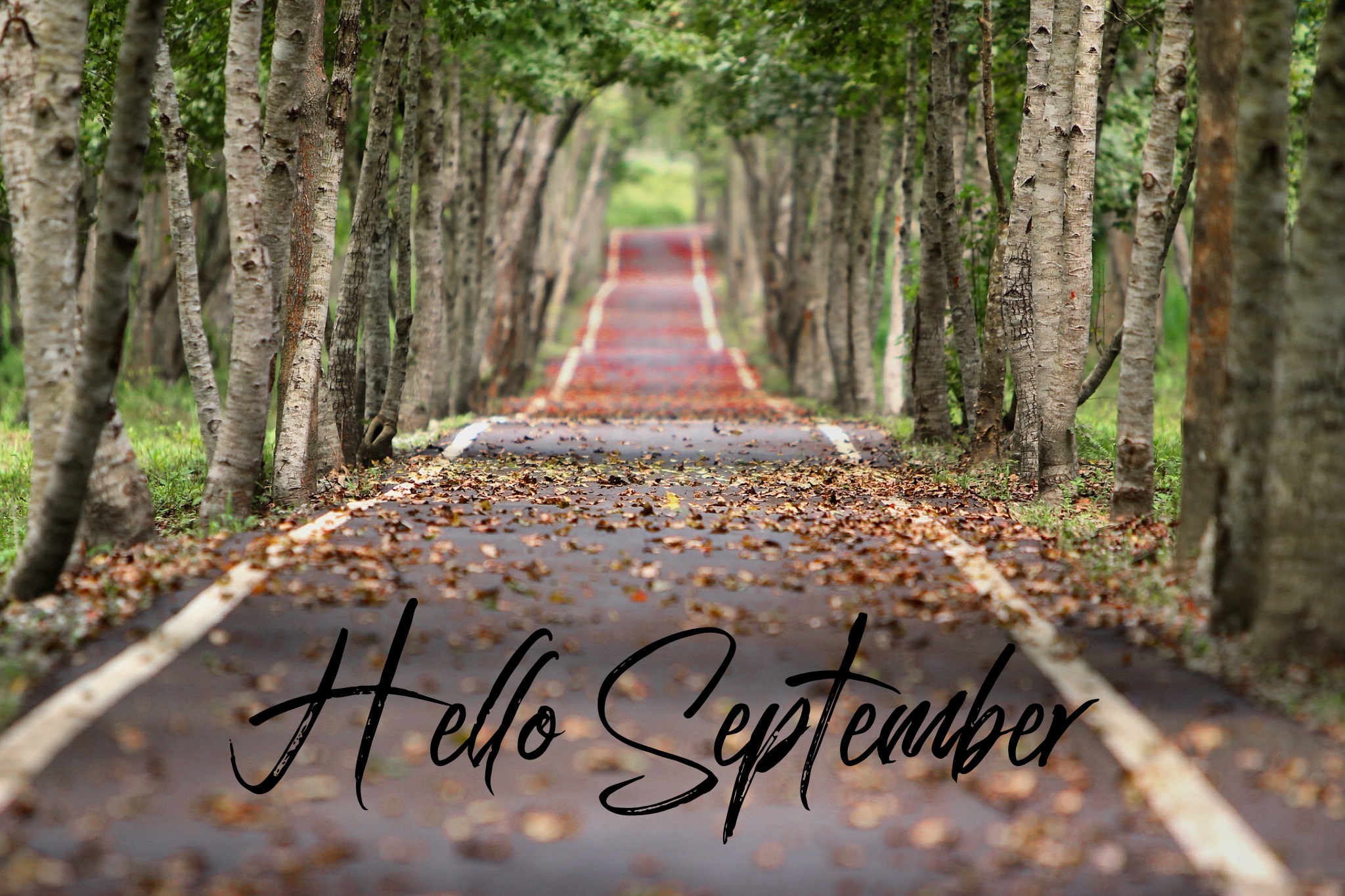 Μετά τις καλοκαιρινές διακοπές επιβάλλεται να αντιμετωπίσουμε τις αρνητικές επιπτώσεις του καλοκαιρινού ήλιου στο πρόσωπο μας αλλά και στα μαλλιά μας .  Αναζητήστε τις συμβουλές των ειδικών της Labo στα συνεργαζόμενα φαρμακεία!