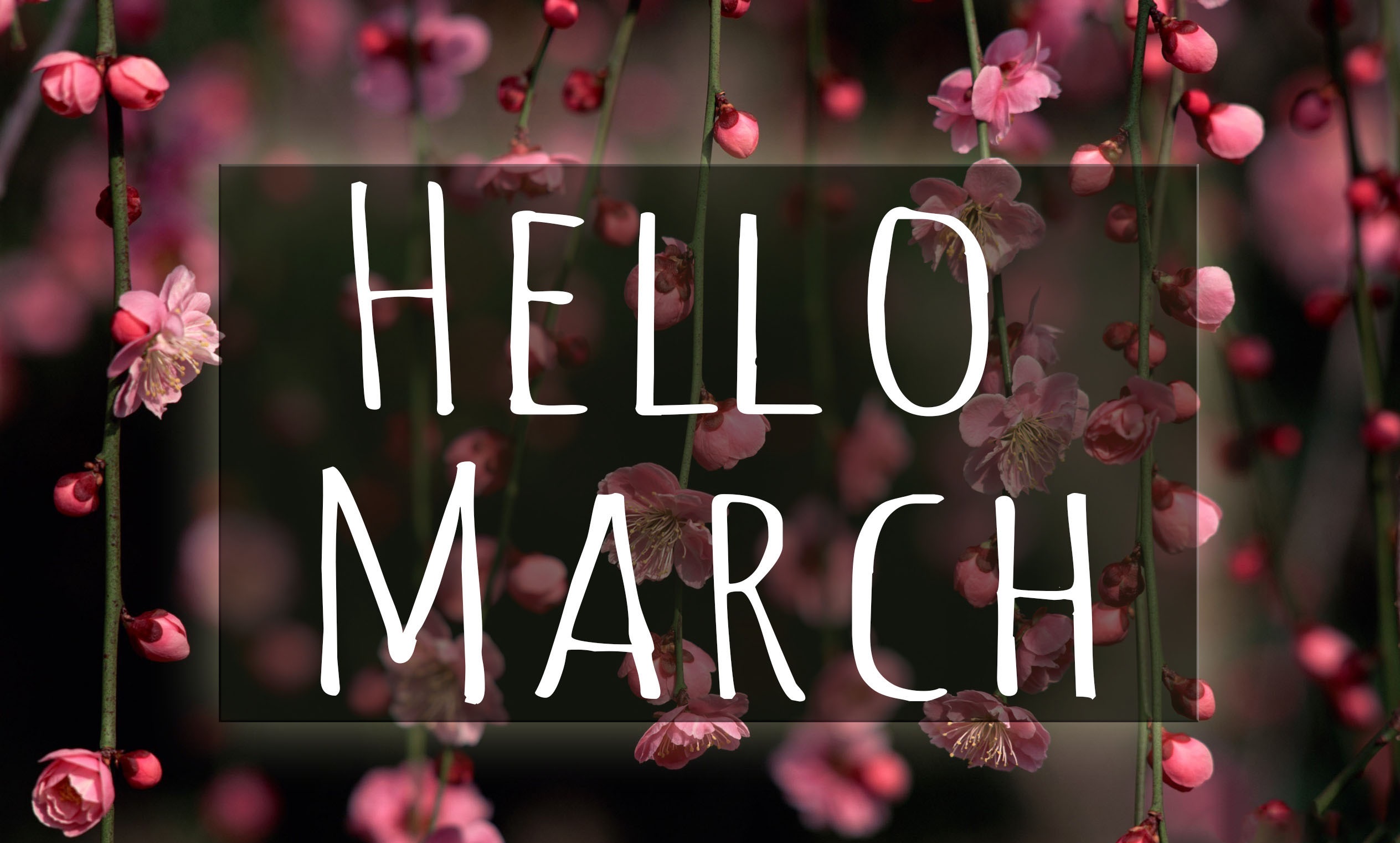 Υποδεχθείτε την άνοιξη και ανανεωθείτε όπως και η φύση! Είναι η ιδανική εποχή για τις θεραπείες αναδόμησης του δέρματος αλλά και των μαλλιών. Οι εξειδικευμένοι σύμβουλοι της Labo, σας περιμένουν στα συνεργαζόμενα φαρμακεία σε Ελλάδα και Κύπρο!