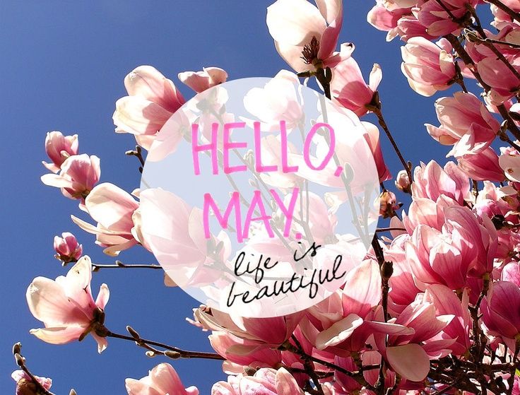 Ο τελευταίος μήνας της άνοιξης ξεκινάει και εμείς φροντίζουμε τις ανάγκες της επιδερμίδας και των μαλλιών μας σε ένα από τα συνεργαζόμενα φαρμακεία Labo!